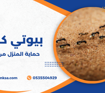 حماية المنزل من النمل