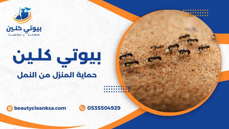 حماية المنزل من النمل