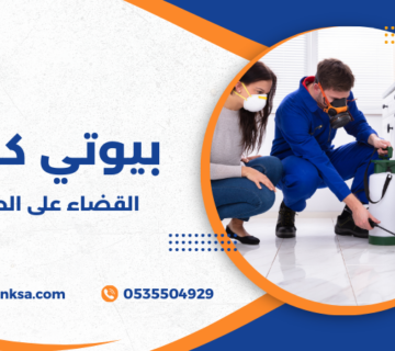القضاء على الحشرات