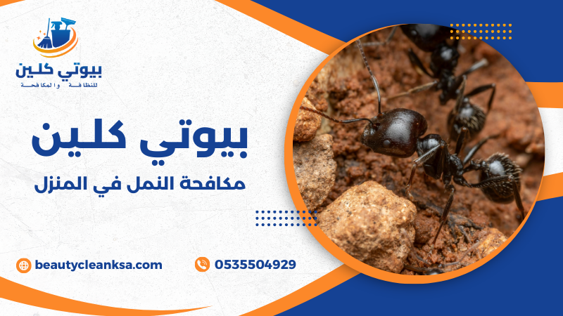 مكافحة النمل في المنزل