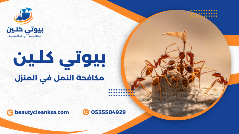 مكافحة النمل في المنزل