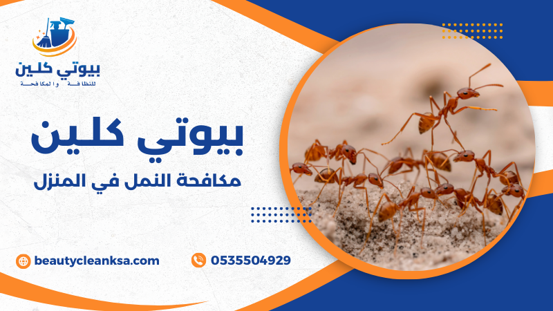 مكافحة النمل في المنزل