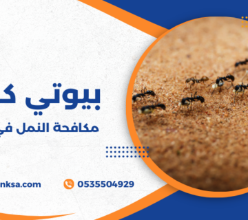 مكافحة النمل في المنزل