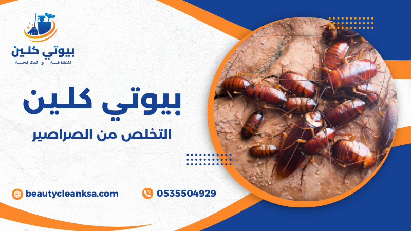 التخلص من الصراصير