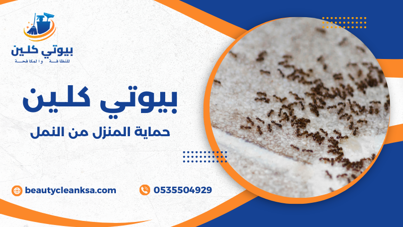 حماية المنزل من النمل