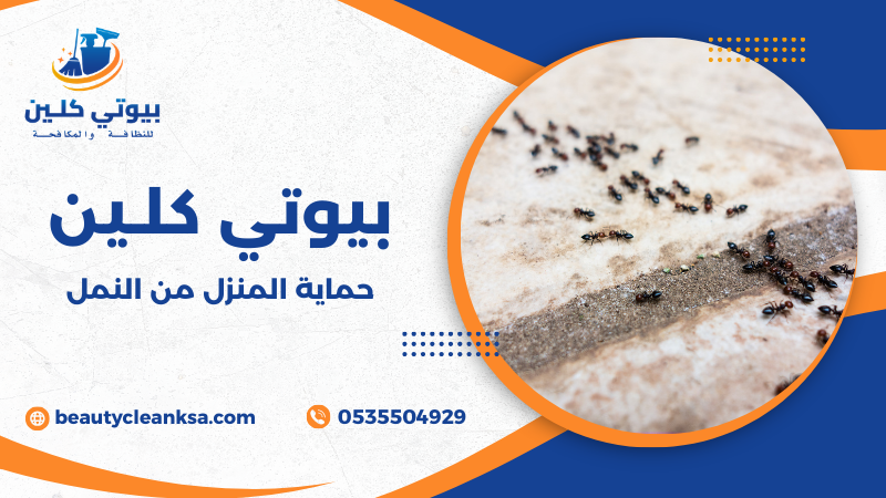 حماية المنزل من النمل