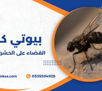 القضاء على الحشرات الطائرة