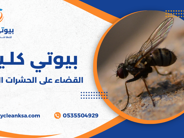 القضاء على الحشرات الطائرة