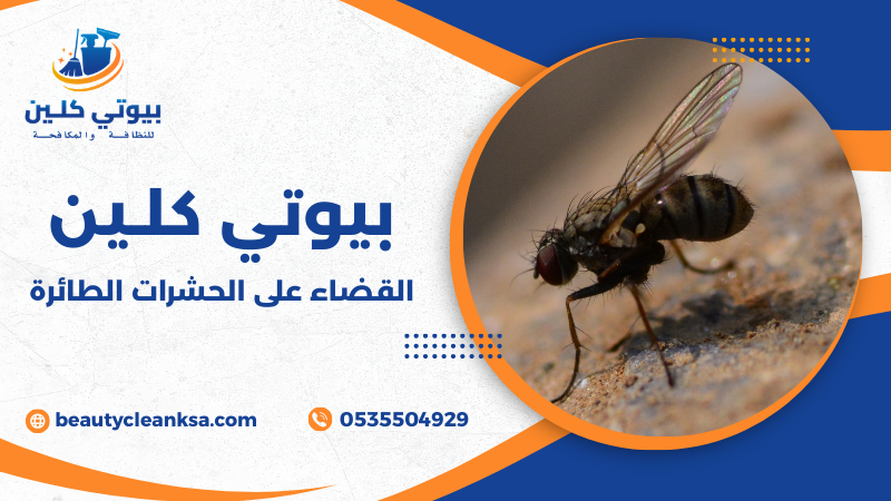 القضاء على الحشرات الطائرة