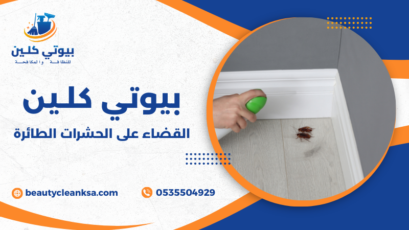 القضاء على الحشرات الطائرة