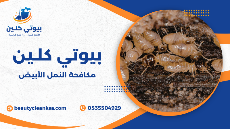 مكافحة النمل الأبيض