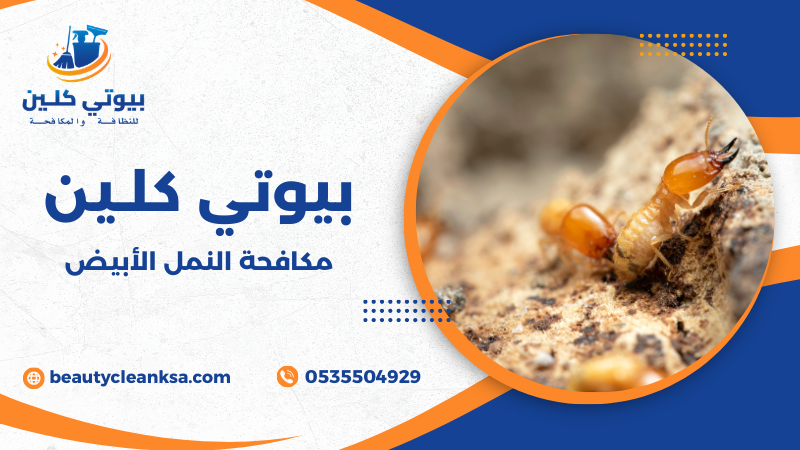 مكافحة النمل الأبيض