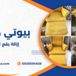 إزالة بقع الكنب